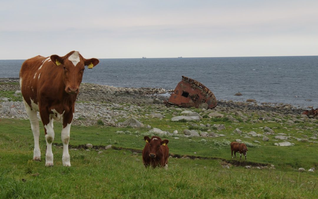 Om Jæren